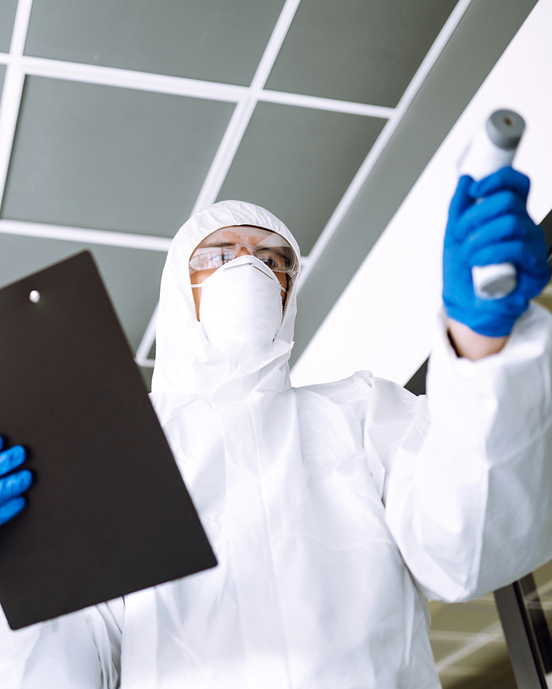 Mold Testing Labcorp Mold Inspection & Testing